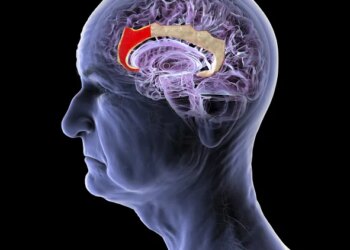 This Chinese Startup Wants to Build a New Brain-Computer Interface—No Implant Required