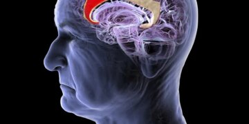 This Chinese Startup Wants to Build a New Brain-Computer Interface—No Implant Required