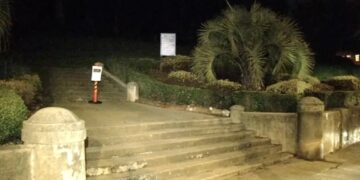 Mountain lion sightings put San Francisco’s posh Pacific Heights on high alert