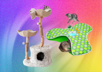 The Best Cat Toys for Your Furry Friend (2026)