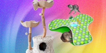 The Best Cat Toys for Your Furry Friend (2026)