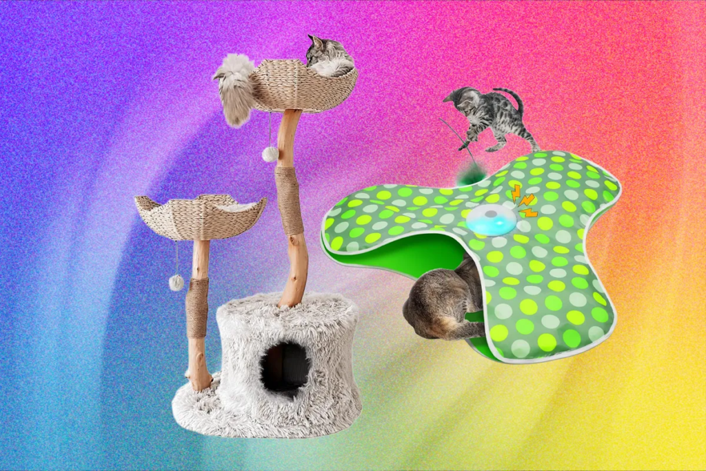The Best Cat Toys for Your Furry Friend (2026)