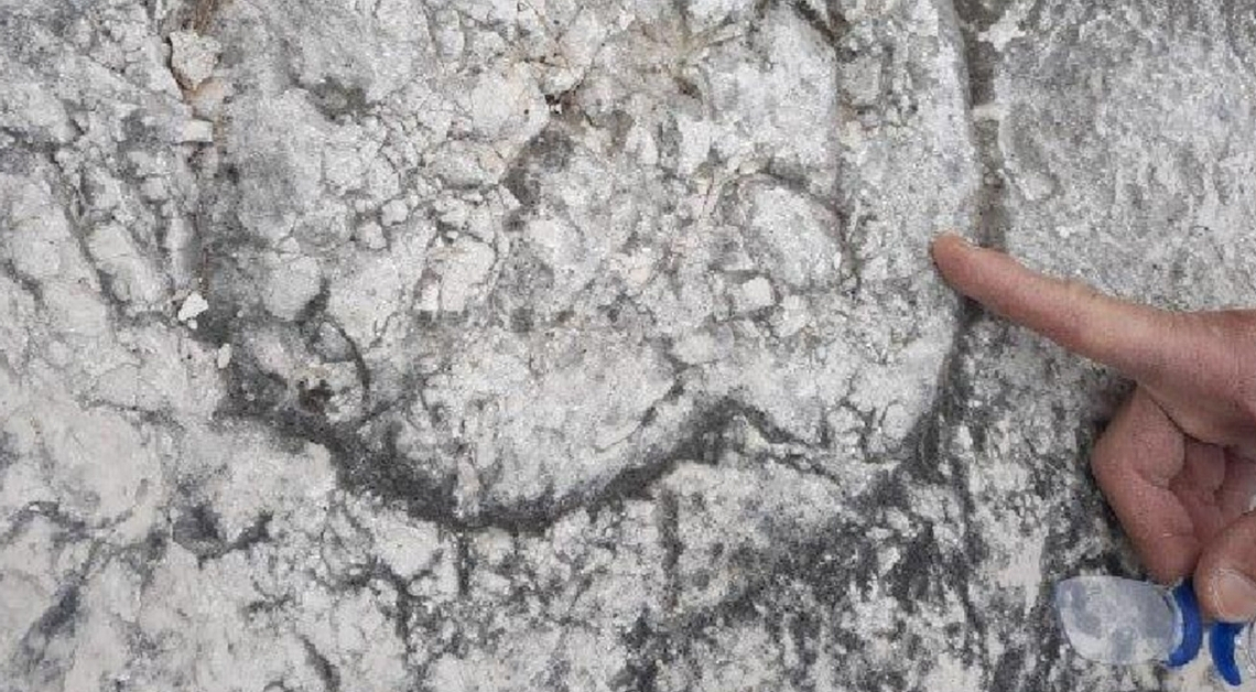 These Rock Climbers Accidentally Made an 80-Million-Year-Old Discovery