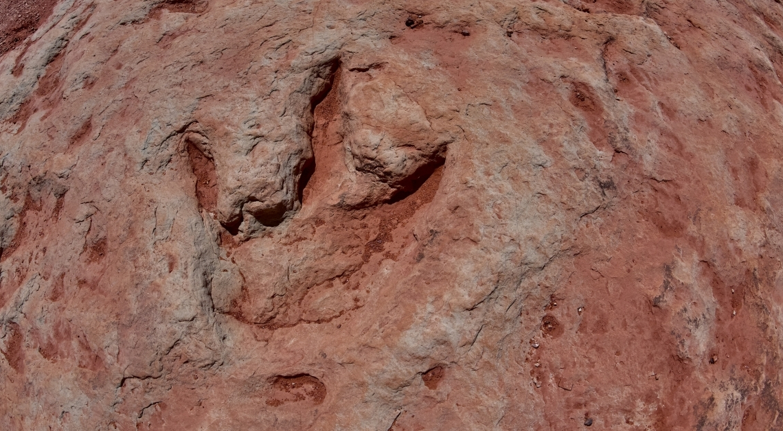 This App Helps Paleontologists (And You) Identify Dinosaur Tracks