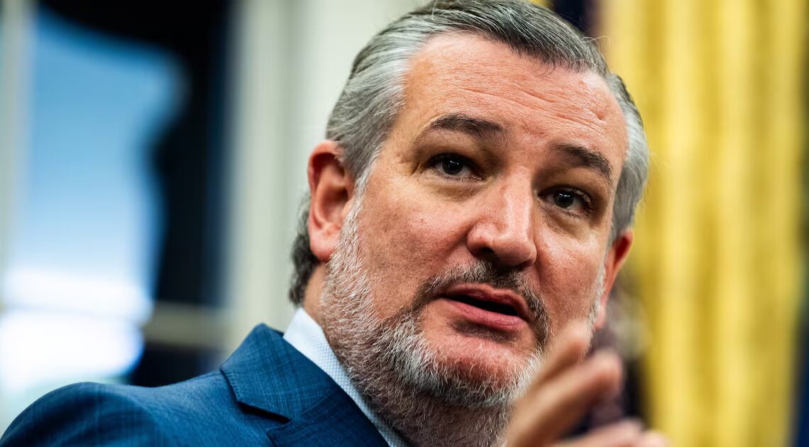 Ted Cruz Photographed on Flight Out of Texas Ahead of Winter Storm