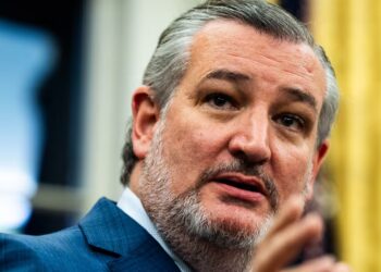 Ted Cruz Photographed on Flight Out of Texas Ahead of Winter Storm