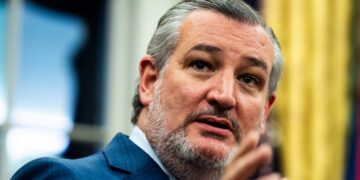 Ted Cruz Photographed on Flight Out of Texas Ahead of Winter Storm