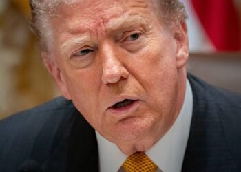 Trump defends ICE, defines shooting before facts are established