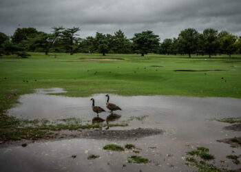 Bring on D.C. golf’s revamp