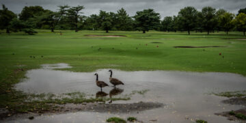 Bring on D.C. golf’s revamp