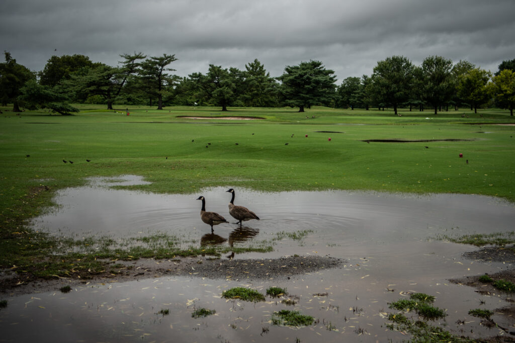 Bring on D.C. golf’s revamp