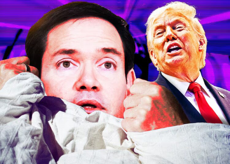 Exhausted Marco Rubio Admits Hiding From Trump on AF1