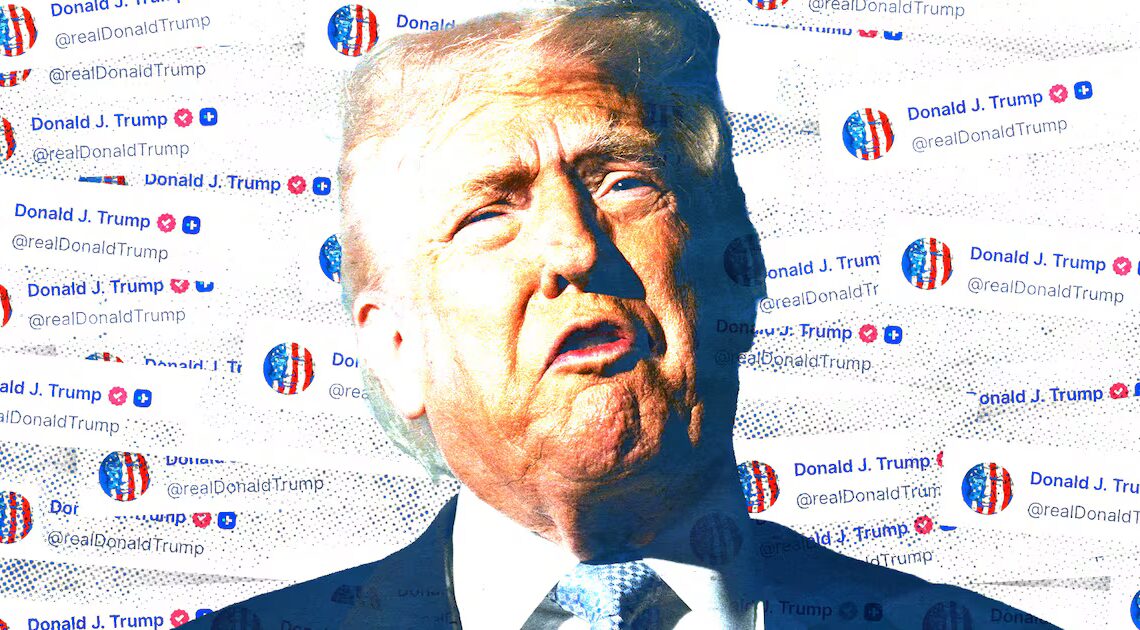 Frantic Trump, 79, Unleashes Self-Soothing Conspiracy Posting Rampage