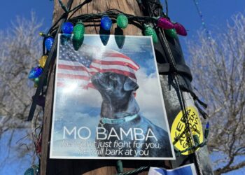 After a hard-fought campaign, Austin neighborhood elects a canine mayor