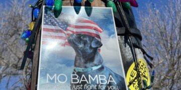 After a hard-fought campaign, Austin neighborhood elects a canine mayor