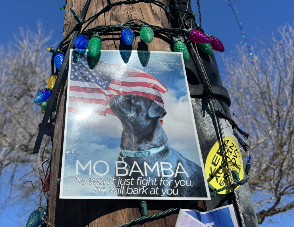 After a hard-fought campaign, Austin neighborhood elects a canine mayor