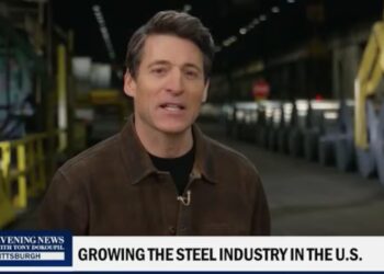 MAGA-Coded Anchor Gives Thumbs Up to Bonkers Trump Plan