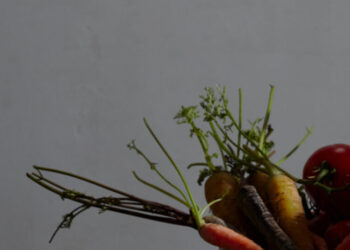 How What You Eat Affects Cancer Risk