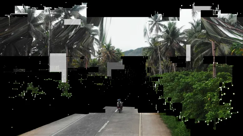 Image may contain: City, Road, Street, Urban, Plant, Vegetation, Person, Walking, Palm Tree, Tree, Path, Helmet, and Outdoors