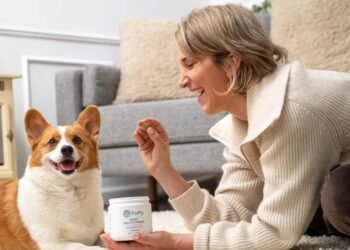 Scouted: This Vet-Approved Daily Multivitamin Is Made for Dogs—and Making a Difference