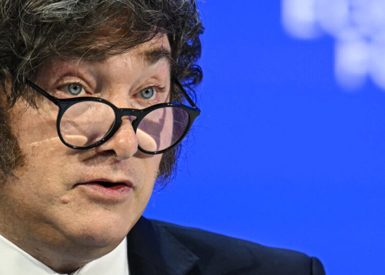 Javier Milei brings Davos back to earth