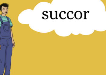 Word of the Day: succor