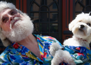 Where You Live in the US Can Predict Which Dog Breeds You Love Most