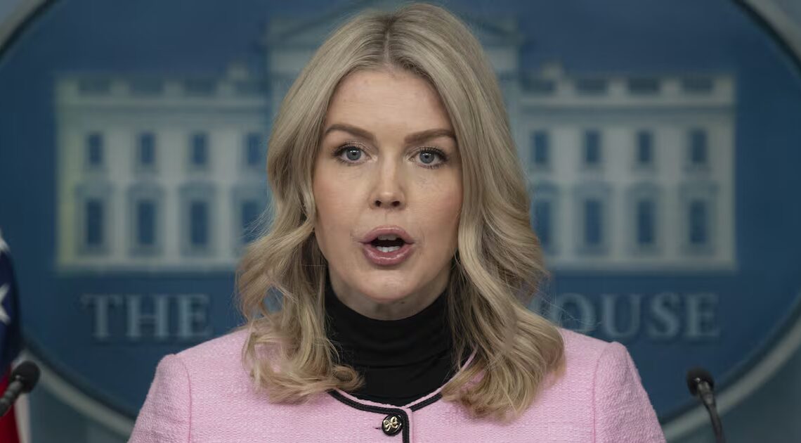 Karoline Leavitt Takes Shocking Swipe at ICE Shooting Victim