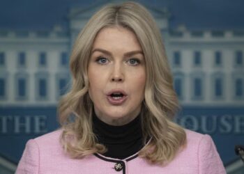 Karoline Leavitt Takes Shocking Swipe at ICE Shooting Victim