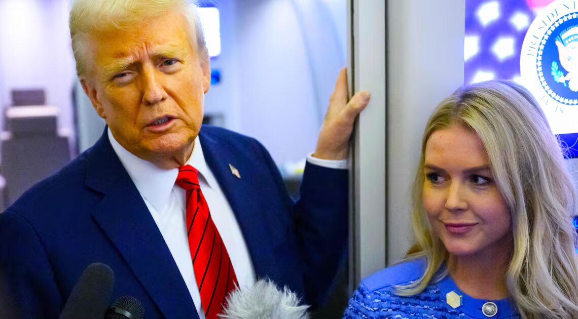 Trump Gets Big News on His Free Qatari Jet After Leavitt’s Plea