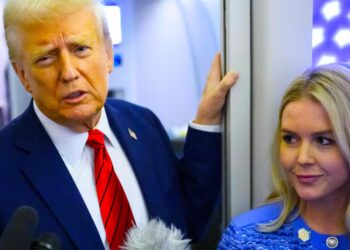 Trump Gets Big News on His Free Qatari Jet After Leavitt’s Plea