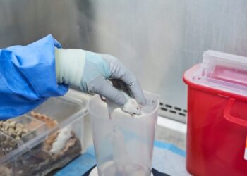 NIH says it will stop funding research using human fetal tissue
