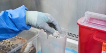 NIH says it will stop funding research using human fetal tissue