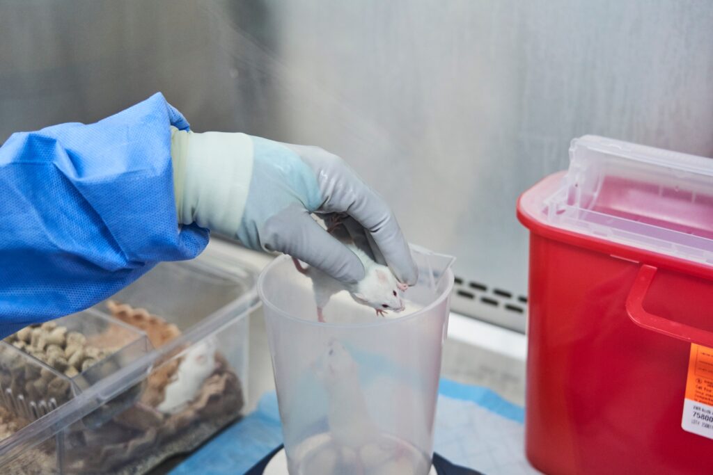 NIH says it will stop funding research using human fetal tissue