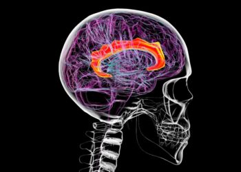 Science shows very different psychiatric disorders might have the same cause