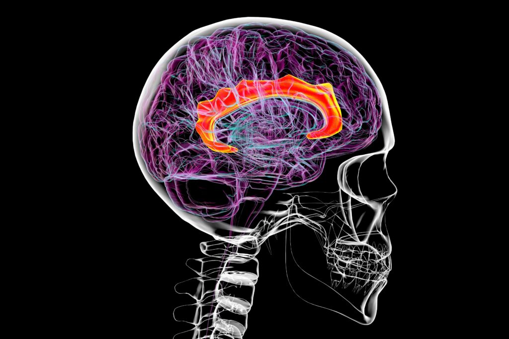 Science shows very different psychiatric disorders might have the same cause