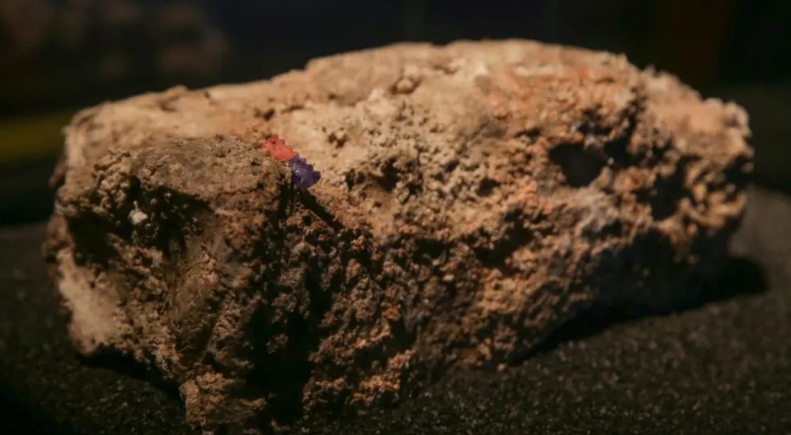 You Won’t Believe How Much It’s Going to Cost to Fix Sydney’s Disgusting Fatberg Problem