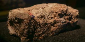 You Won’t Believe How Much It’s Going to Cost to Fix Sydney’s Disgusting Fatberg Problem