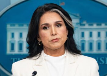 Tulsi Gabbard Spotted at Keystone Kash’s Bonkers Ballot Raid
