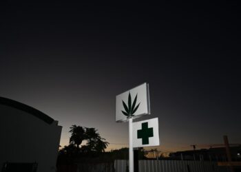 Cannabis is legitimate. It’s high time the United States follows suit.