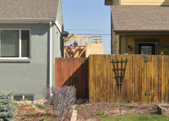 Why the American backyard is getting even smaller