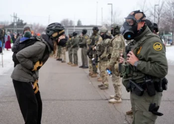 ‘Whiny babies’ at ICE accused of playing the victim: ‘Complete inverse of reality’