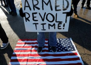 ‘A rage inside of me’: Vietnam vet who jabbed Trump joins protests after ICE killing