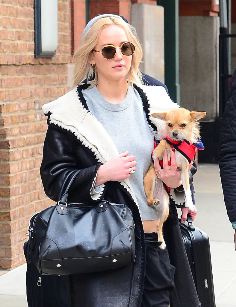Jennifer Lawrence carries her dog, a black handbag, and a rolling suitcase.
