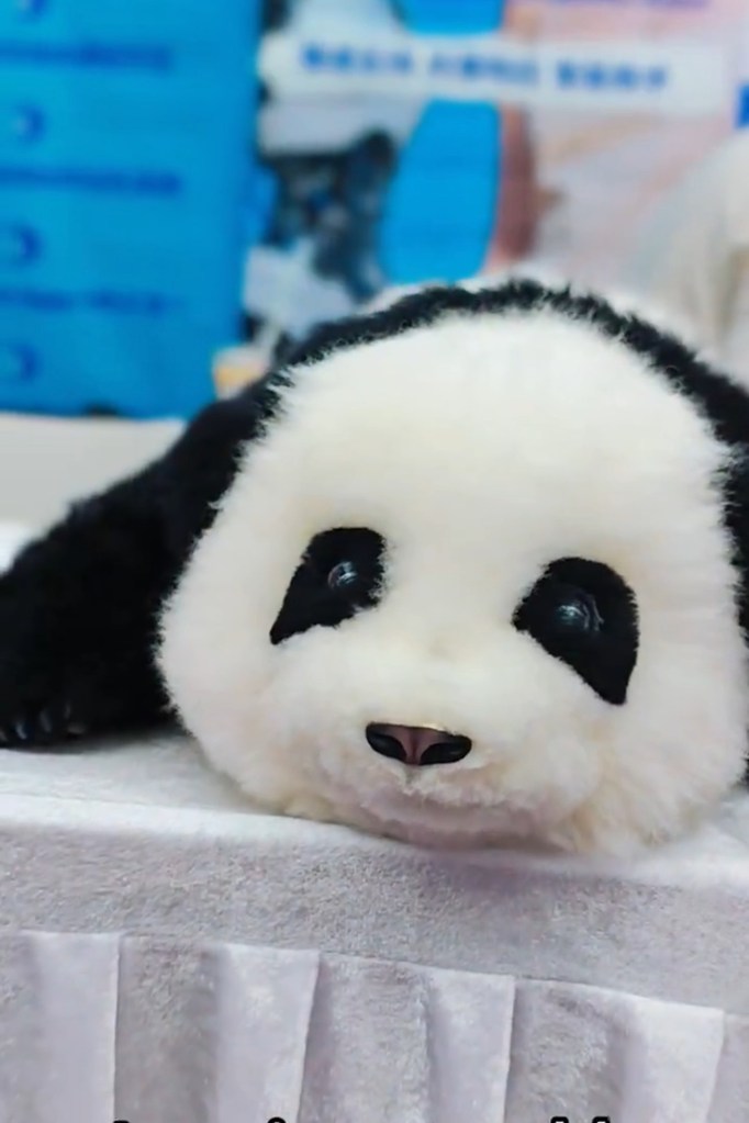 An'An, an AI panda from Mind With Heart Robotics, lying down.