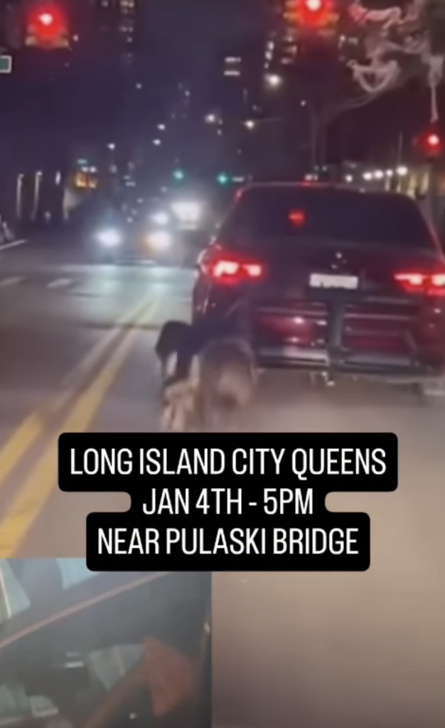 A dog being dragged behind a car at night on a street in Long Island City Queens near the Pulaski Bridge.