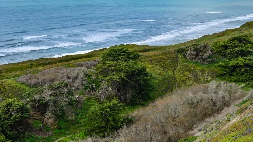 Waves crashing on the shore of Thornton State Beach with a path winding through green and brown vegetation leading to bluffs.