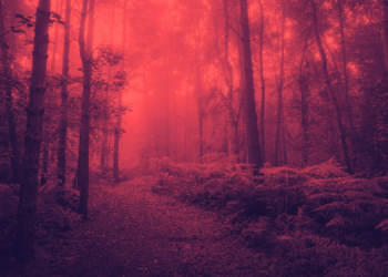 Biophobia Is on the Rise, and It’s Ruining Everything