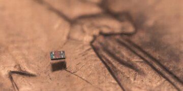 This Autonomous Aquatic Robot Is Smaller Than a Grain of Salt