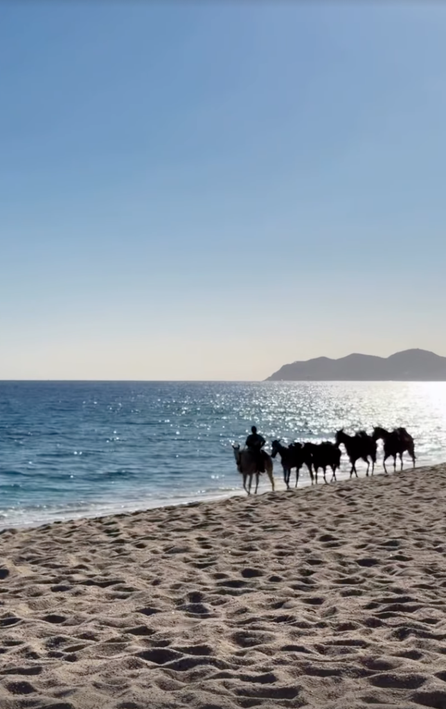 A person riding a horse and leading other horses along the edge of a beach with mountains in the background.